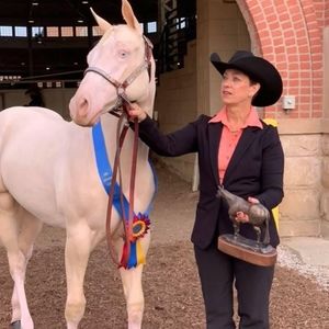 Meet your Posher, Shelley